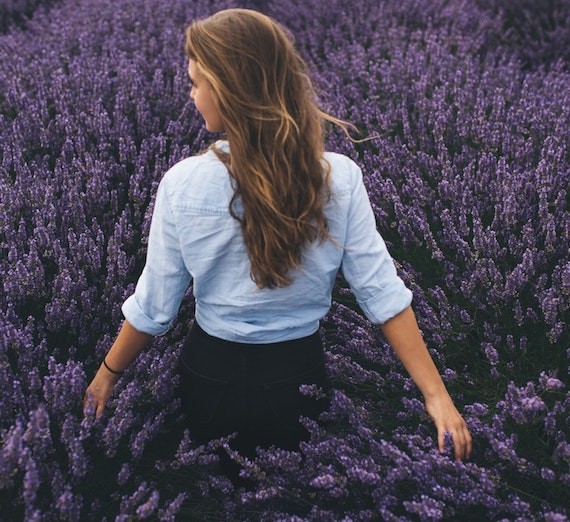 The Magic of Lavender